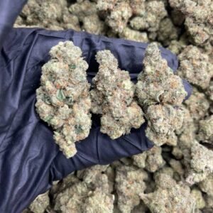 import placeholder for 15974