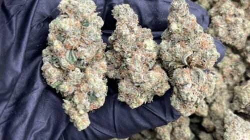 import placeholder for 15974