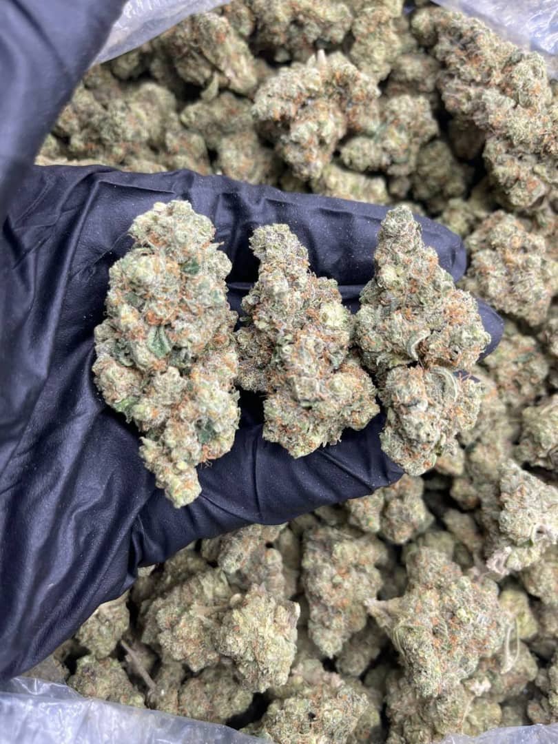 import placeholder for 15974