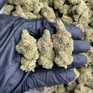 import placeholder for 15984