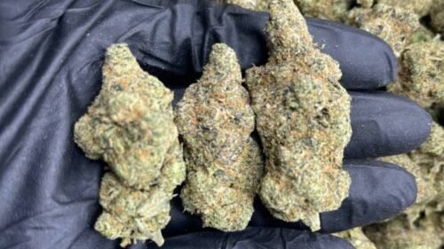 import placeholder for 15984