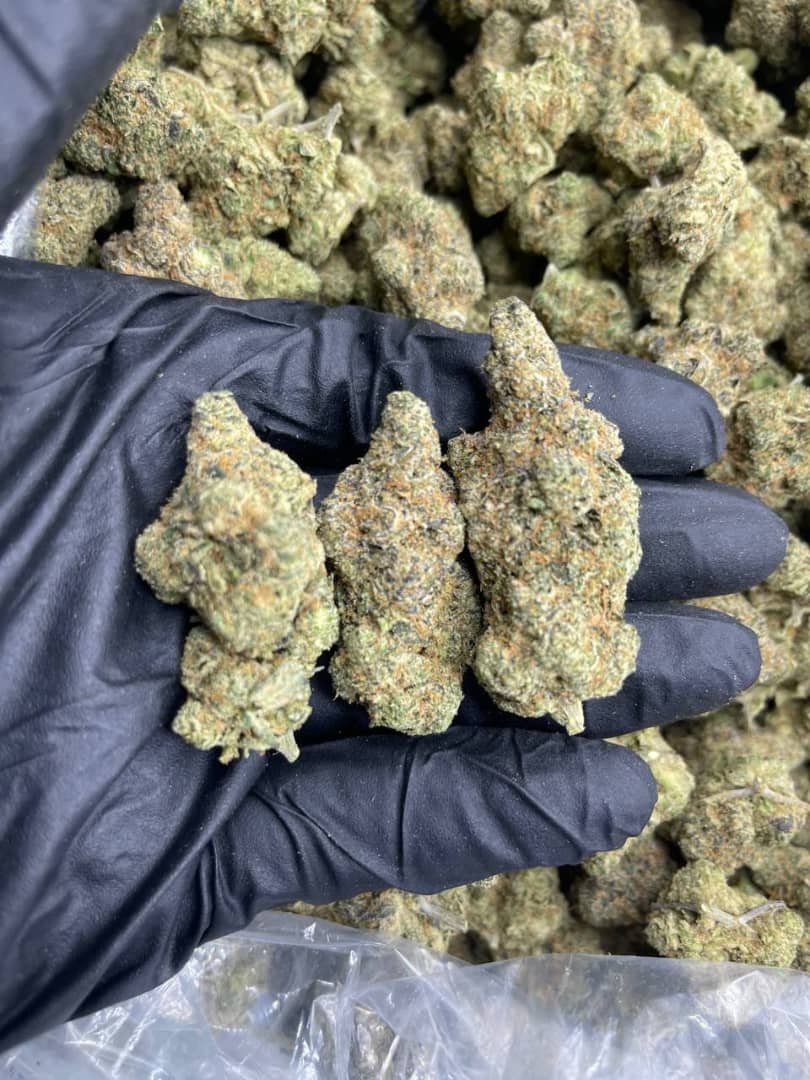 import placeholder for 15984