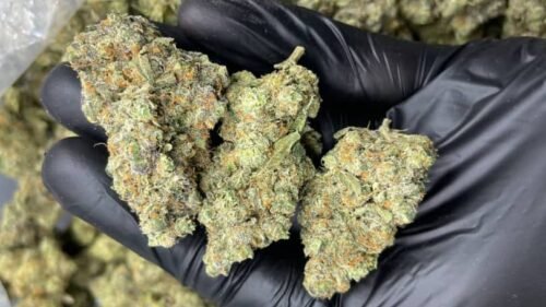 import placeholder for 16008