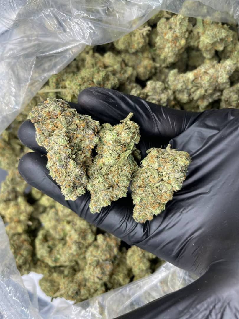 import placeholder for 16008