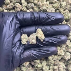 import placeholder for 15979 import placeholder for 15979