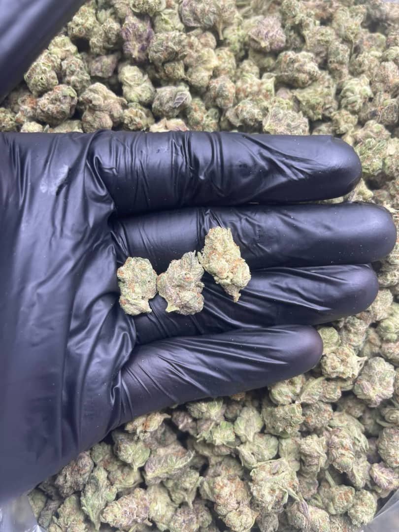 import placeholder for 15979 import placeholder for 15979