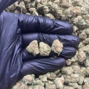 import placeholder for 16018