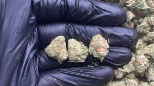 import placeholder for 16018