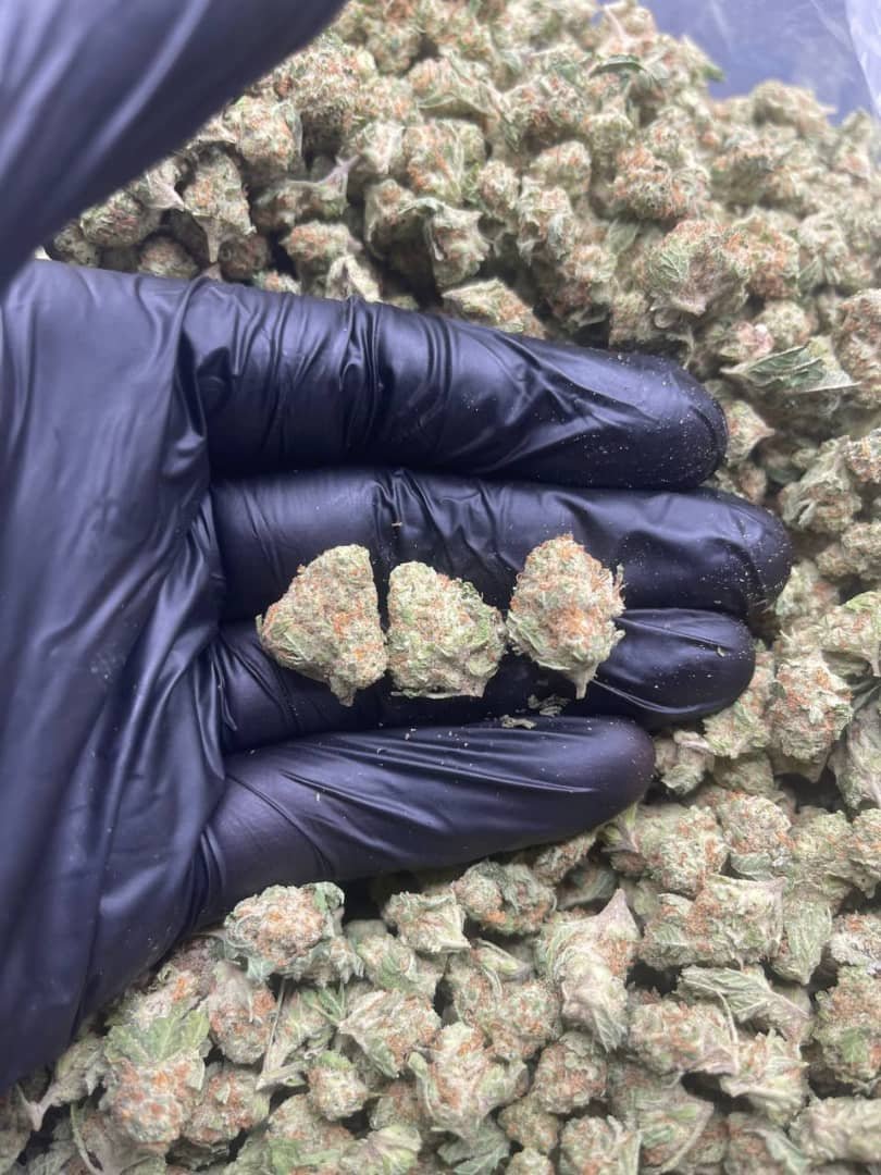 import placeholder for 16018