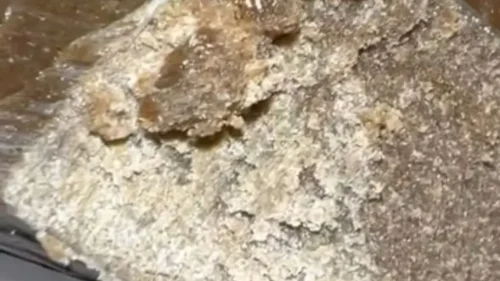 import placeholder for 17003