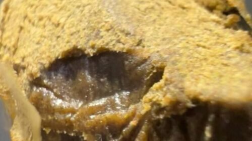 04-KMNTOGxRNTZ 190/45u Hash A Premium Cannabis Concentrate 04-KMNTOGxRNTZ 190/45u Hash A Premium Cannabis Concentrate