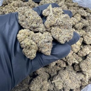 import placeholder for 16342