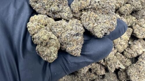 import placeholder for 16342 import placeholder for 16342