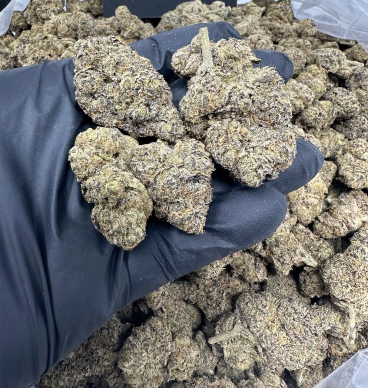 import placeholder for 16342