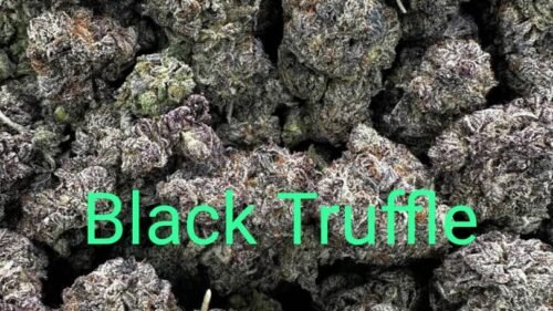 import placeholder for 16244