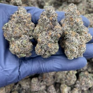 import placeholder for 16200