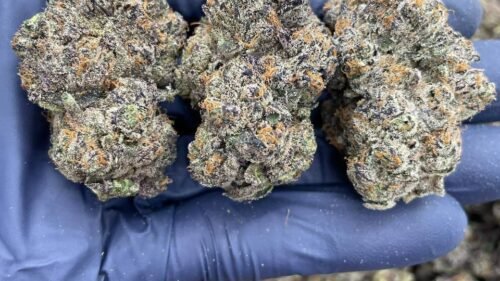 import placeholder for 16200