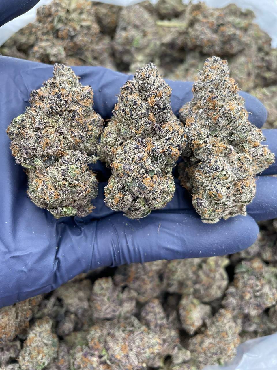 import placeholder for 16200