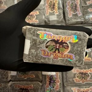 import placeholder for 16270