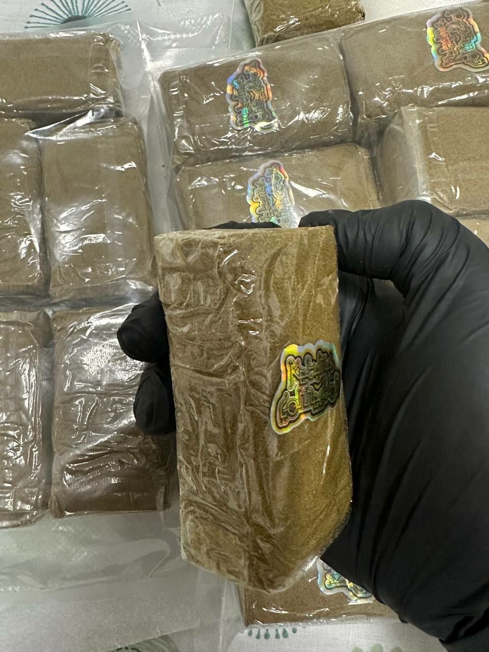 LA MOUSSE A+++ Macro Texture