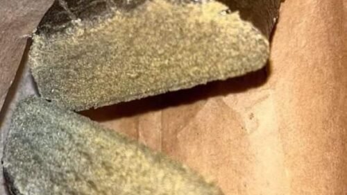 import placeholder for 16710