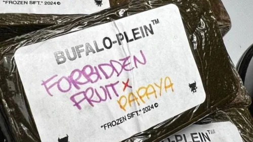 Order Bufalo Plain Hash Premium Flavor for Every Meal