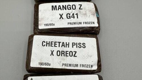 import placeholder for 16735