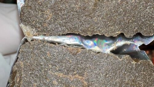 import placeholder for 15993