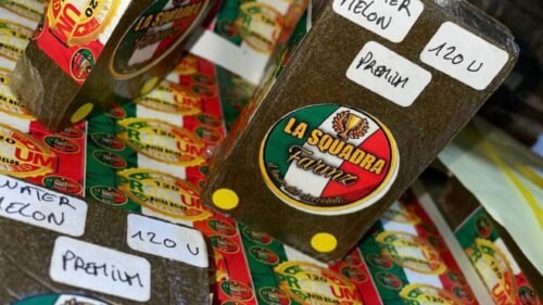 Buy MELON SLICE - LA SQUADRA FARMZ HASH Buy MELON SLICE - LA SQUADRA FARMZ HASH