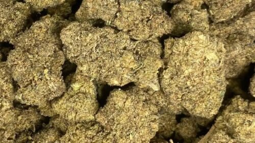 import placeholder for 16972