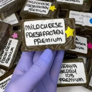 anonymuz frozen hash