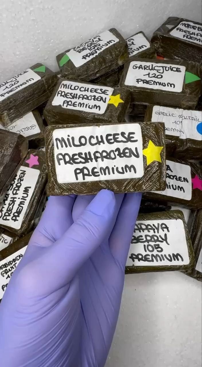 anonymuz frozen hash