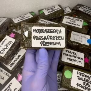 import placeholder for 17046