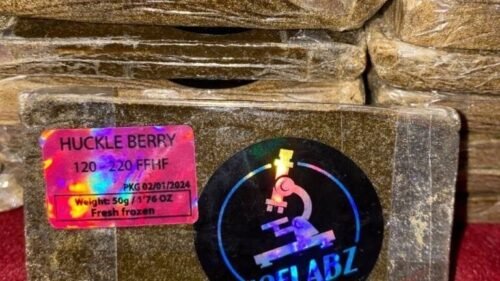 import placeholder for 16478 import placeholder for 16478