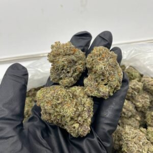 import placeholder for 16316 import placeholder for 16316