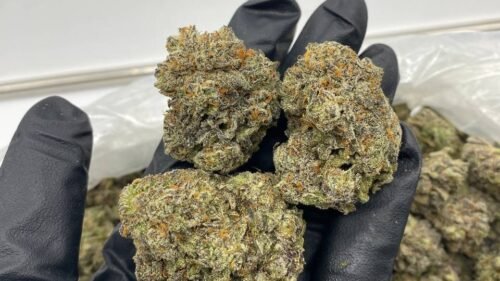 import placeholder for 16316 import placeholder for 16316