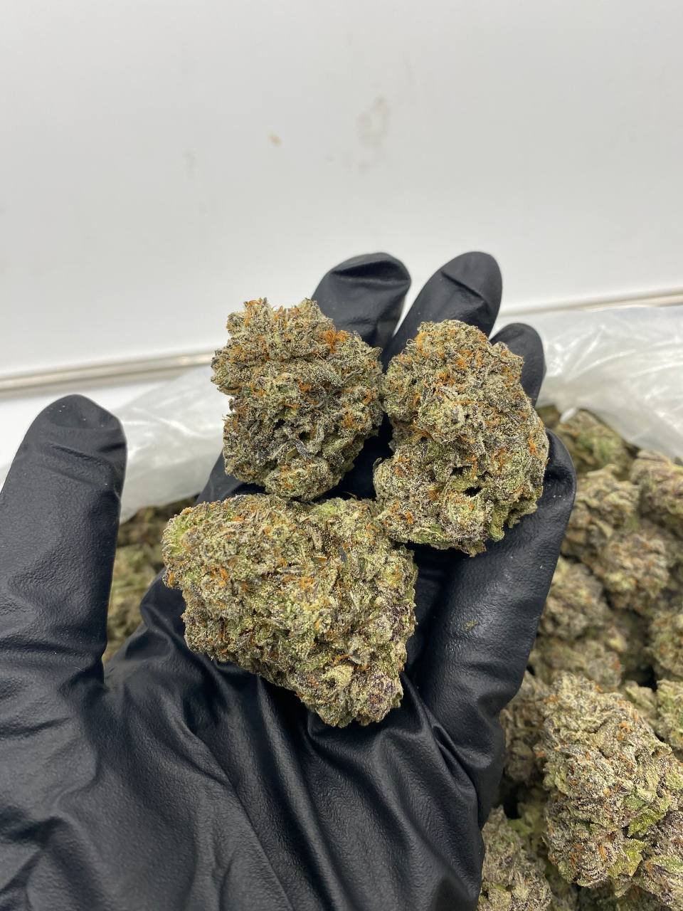 import placeholder for 16316 import placeholder for 16316