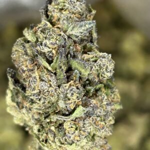 import placeholder for 16322 import placeholder for 16322