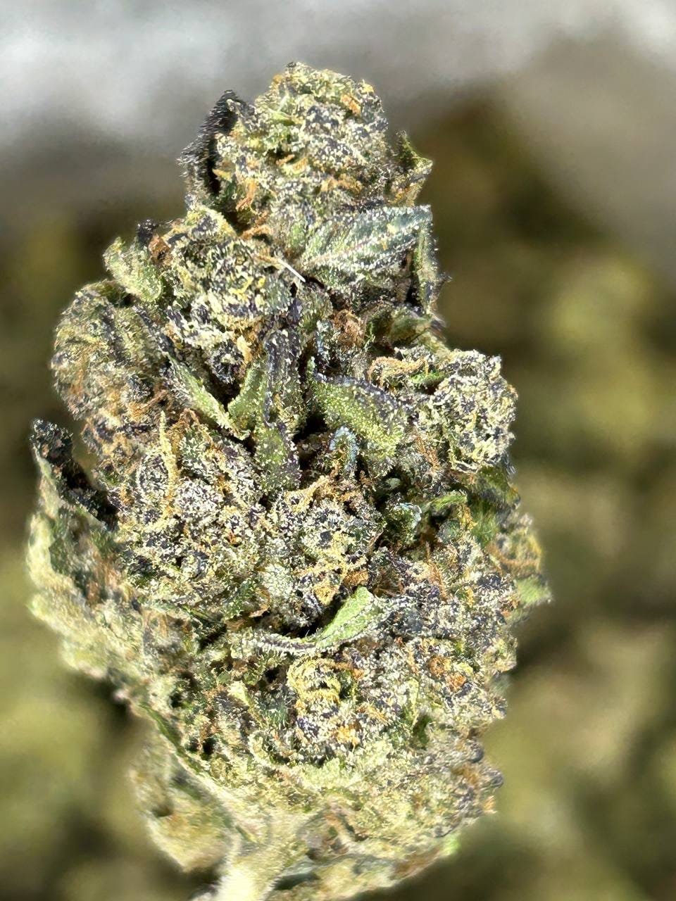 import placeholder for 16322 import placeholder for 16322