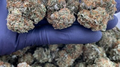 import placeholder for 16205 import placeholder for 16205