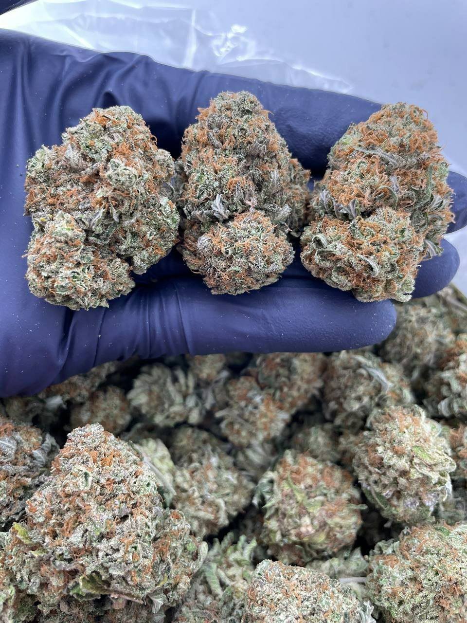 import placeholder for 16205