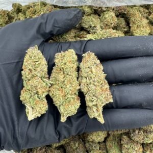 import placeholder for 16877