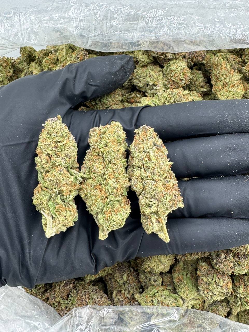 import placeholder for 16877