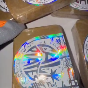 Buy Ice Cream Cake Cali Plates Frozen Sift | Single Source 2026