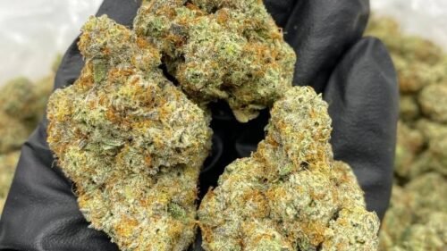 import placeholder for 16462 import placeholder for 16462