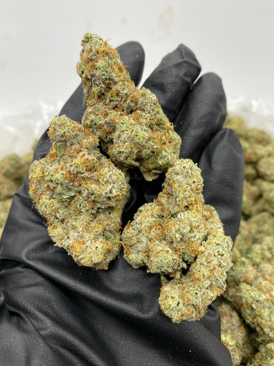 import placeholder for 16462 import placeholder for 16462