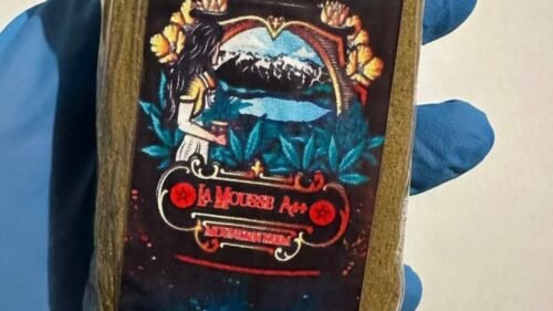 import placeholder for 16556 import placeholder for 16556