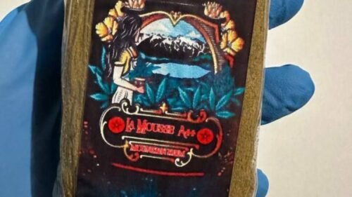 import placeholder for 16485