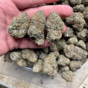 import placeholder for 16439 import placeholder for 16439