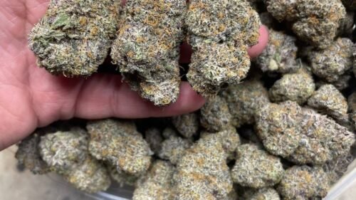 import placeholder for 16439